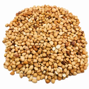 Dried Mahaleb Cherry Seeds 500G