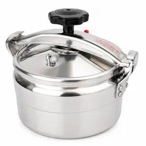 stainless steel pressure cooker large