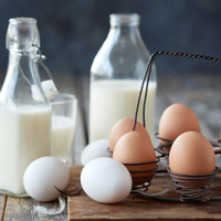 Dairy And Eggs