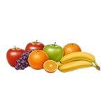 Fruits